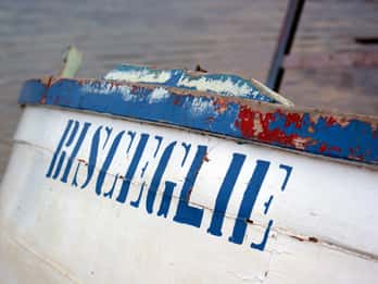 BISCEGLIE private tour: a nice town on the Adriatic sea