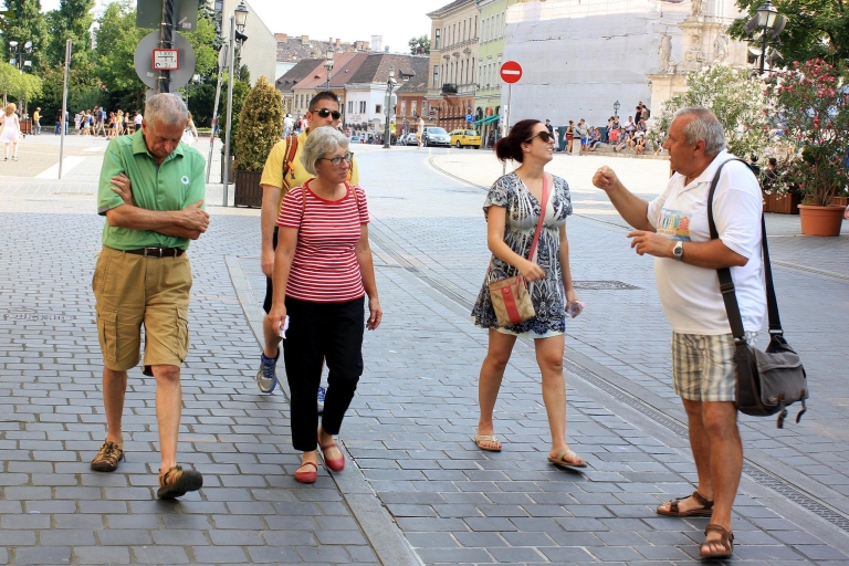 Budapest: Walking Tour privado del barrio del castillo