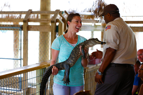 迈阿密：大沼泽地公园、巴士观光与游艇巡游迈阿密：大沼泽地公园、巴士观光与游艇之旅