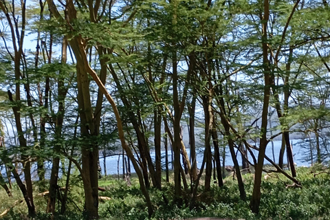 Tagestour zum Lake Nakuru National Park von Nairobi aus