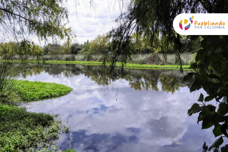 Bogotá Wetlands Sightseeing Tour Bogotá Wetlands City Sightseeing Tour