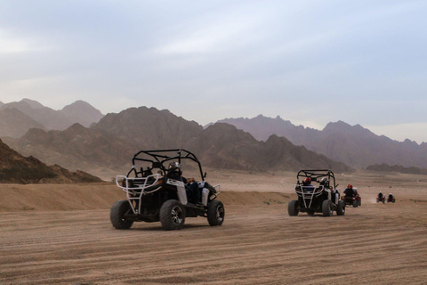 Depuis Agadir : Excursion en buggy dans le désert du Sahara avec collation et transfert