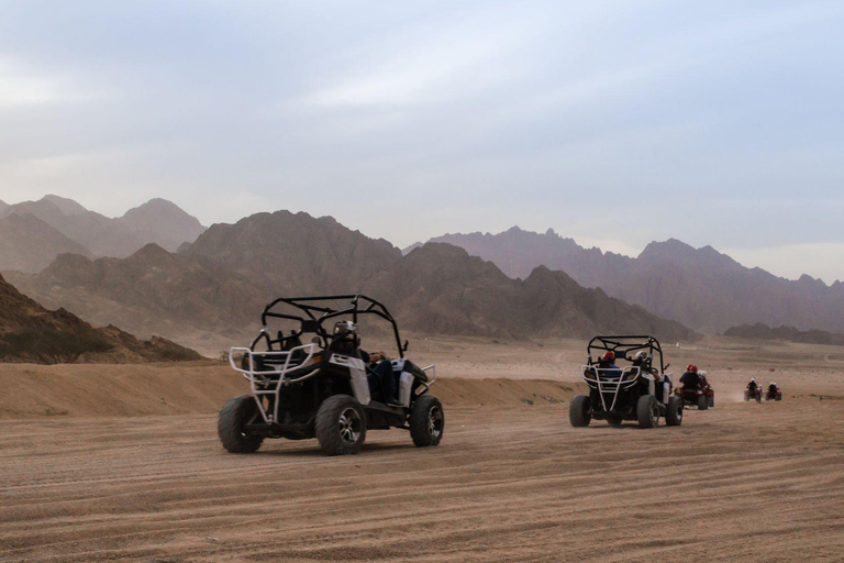 Från Agadir: Sahara Desert Buggy Tour med snacks och transfer