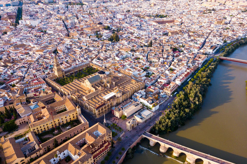 Cordoba: Walking Tour of Caliphate Cordoba and the Jewish Quarter Cordoba: Walking tour of Caliphate-era Cordoba and the Jewish Quarter