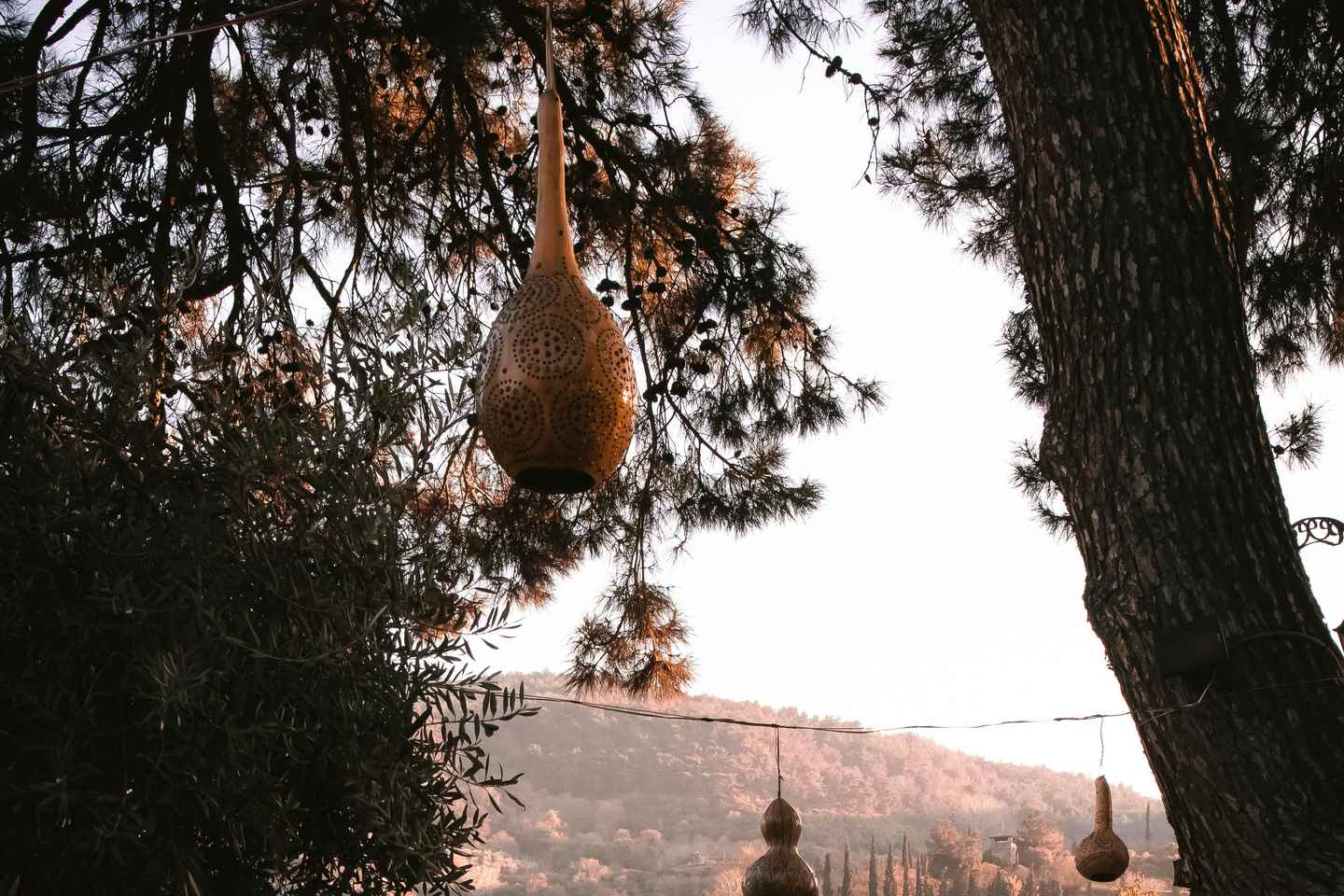 Shore Excursions: Half Day Ephesus & Şirince Village Tour