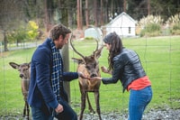 Queenstown, TSS Earnslaw Cruise and Walter Peak Farm Tour - Housity