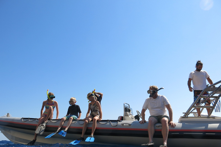 Athènes: Croisière privée avec plongée en apnée et natation