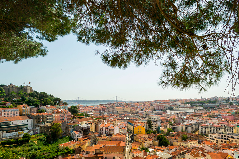 Lisboa: tour guiado por la ciudad de 7 horas