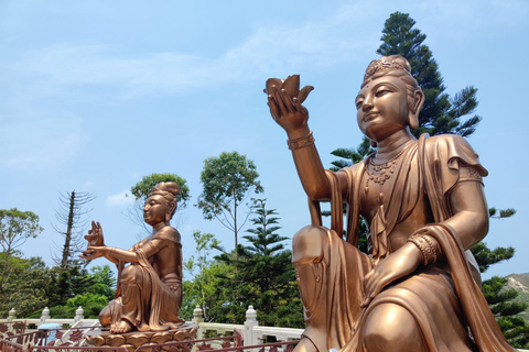 Lantau Tour | Private Permitted Vehicle & Local Driver-Guide 9 Hours Lantau Tour | 7-Seater - Max for 6