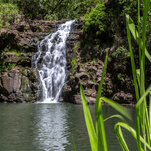 Oahu: The Ultimate Private Circle Island Tour 5-7 Guests