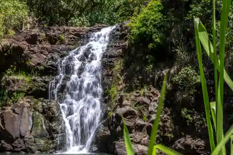 Oahu: Il tour privato dell'isola più bello del mondo 5-7 ospiti