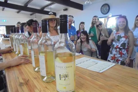 Tarde de Cata de Vinos del Valle del Cisne con Transporte