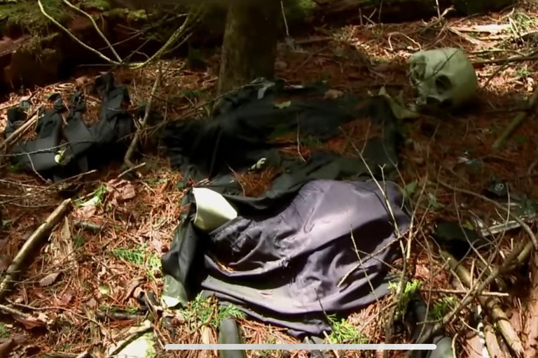 Haunted Hospital for Bravest Ghost Hunters & Silent Forest