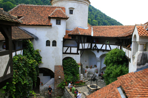 From Sibiu: Day Tour to Brasov and Dracula's Castle Day Tour to Brasov