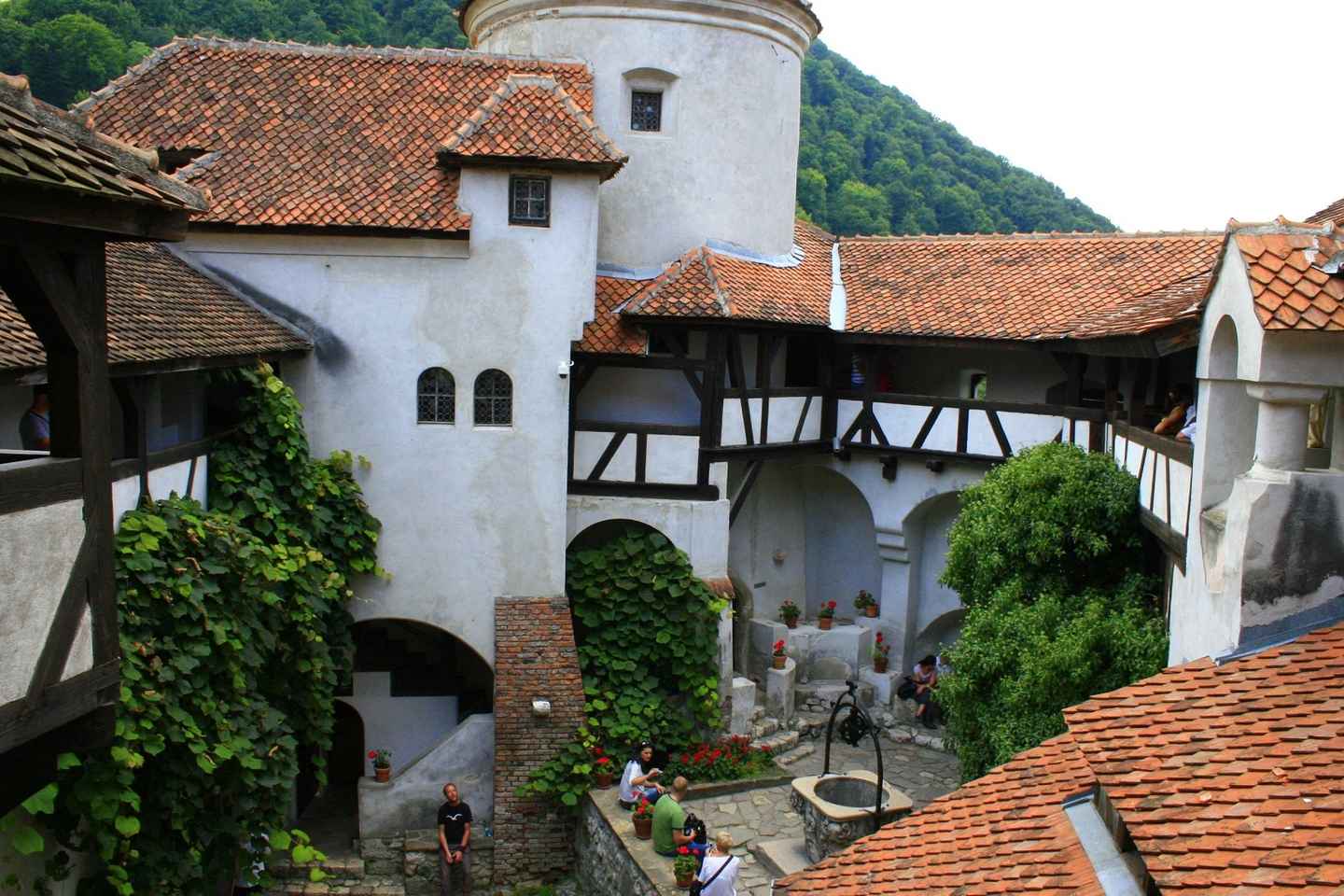Excursión de un día: Explorando el Castillo de Drácula y el Brașov medieval