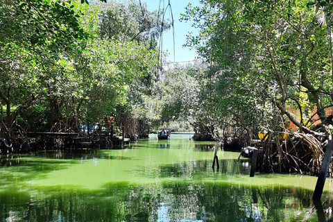 Rio de Janeiro: Ilha da Gigóia Canals and Wildlife Tour