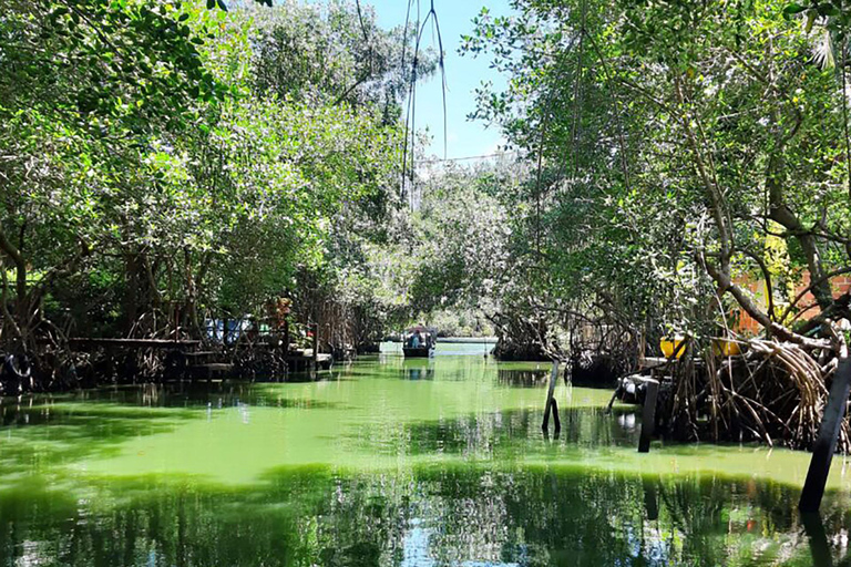 Rio de Janeiro: Ilha da Gigóia Canals and Wildlife Tour