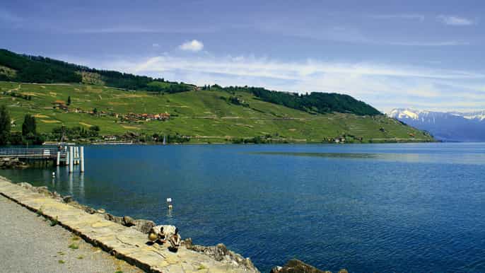 from lausanne montreux chaplins world riviera cruise