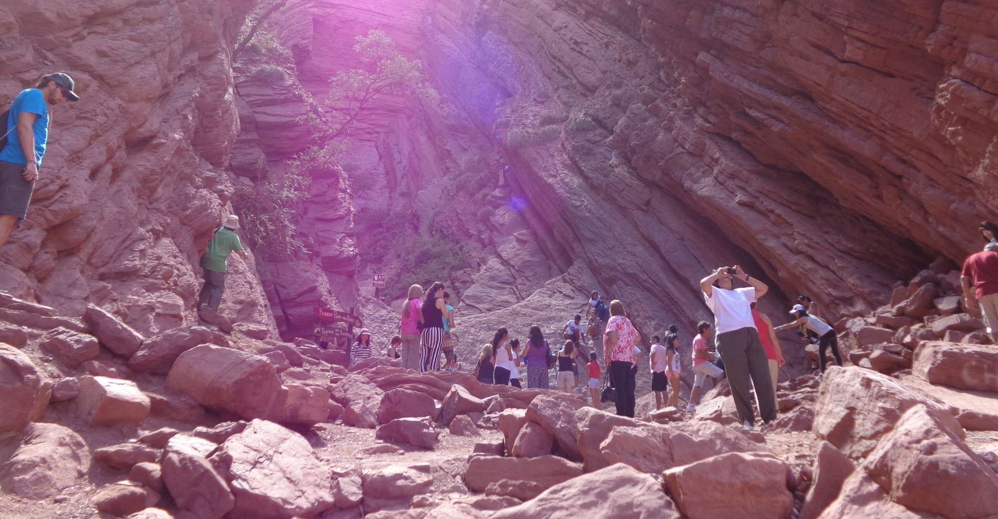 Salta, tour di 2 giorni a Cafayate - Hizvo