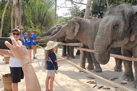 Siem Reap: Excursão em grupo pequeno à floresta de elefantes de Kulen