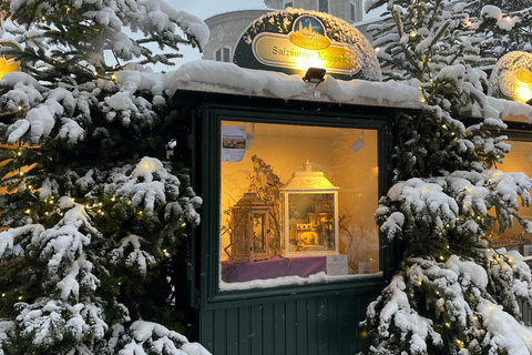 从维也纳到萨尔茨堡的奇妙冬季一日旅行英语之旅