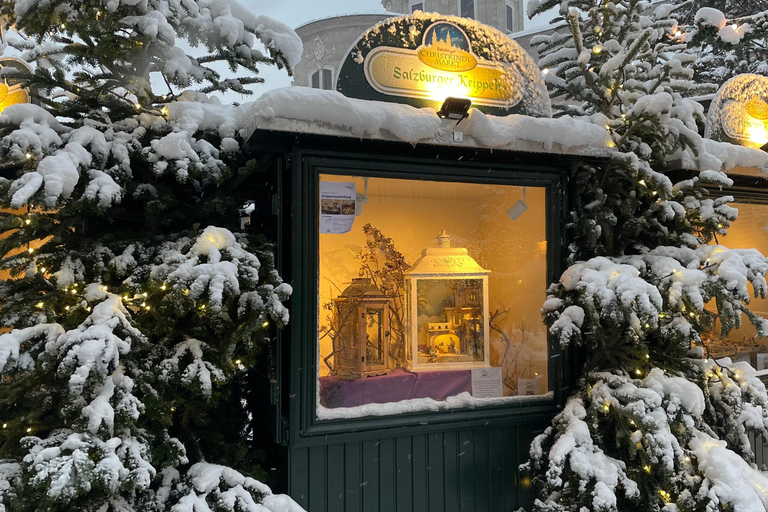 从维也纳到萨尔茨堡的奇妙冬季一日旅行英语之旅