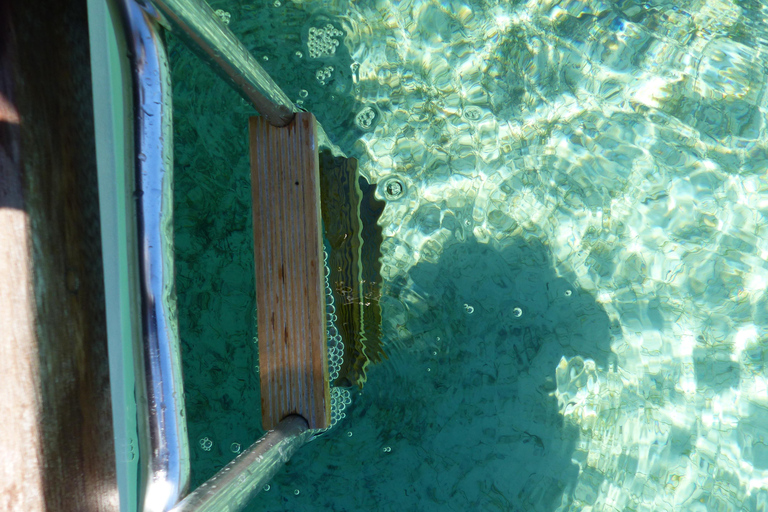 Ibiza: Paseo en barco por Formentera y Espalmador