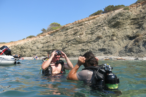 Athens: 5-Hour Discover Scuba Diving for Beginners