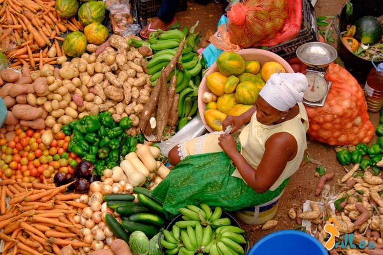 From Praia: Santiago Highlights Private Sightseeing Day Trip