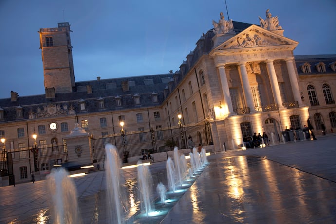Dijon: Nighttime Tour in French