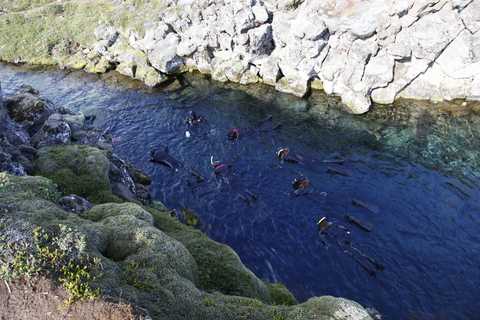 Silfra: Snorkling mellan tektoniska plattor, möte på plats