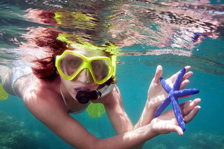 Bali: Blue Lagoon &amp; Tanjung Jepun Snorkeling TicketsSnorkelling only ( NO Lunch Option )