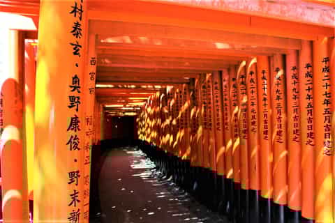 From Kyoto: Full-Day UNESCO and Historical Sites Tour