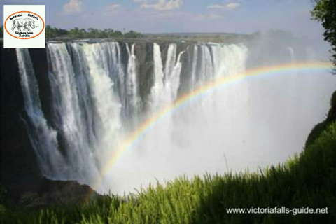 Cascate Vittoria: Tour guidato Zambia e Zimbabwe