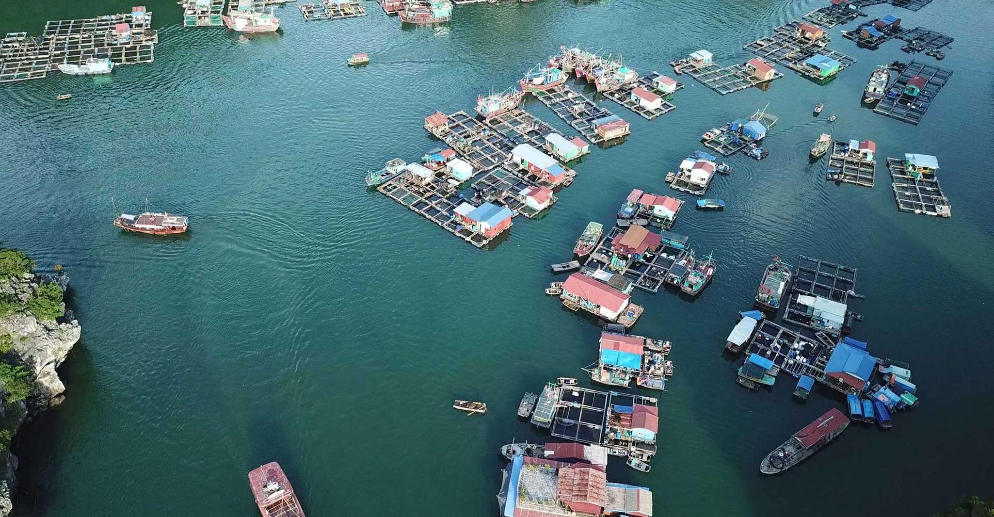 Cat Ba Island - Lan Ha Bay - Ha Long Bay Tour di una giornata intera - Hizvo