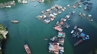 Cat Ba Island - Lan Ha Bay - Ha Long Bay Tour di una giornata intera - Hizvo