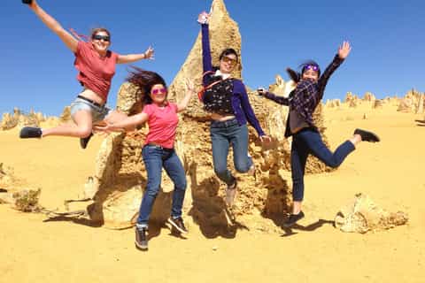 from perth yanchep national park and the pinnacles day trip