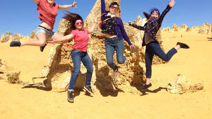 from perth yanchep national park and the pinnacles day trip