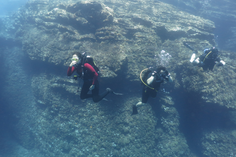 Atenas: Private Discover Scuba Diving para iniciantes