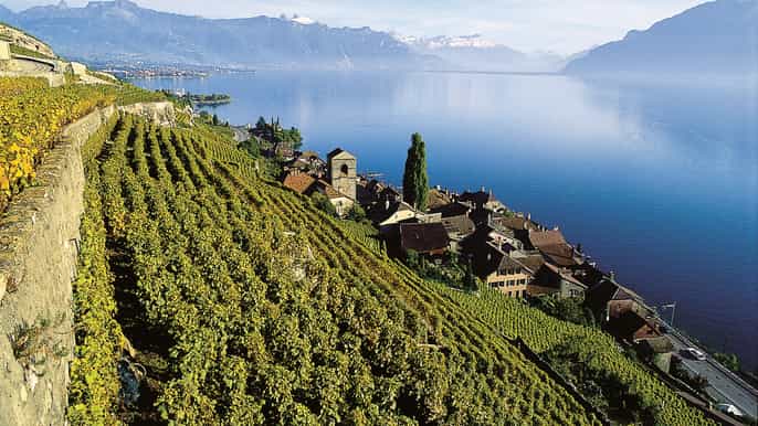 geneva riviera montreux lavaux unesco optional cruise