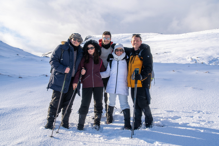 Reine: Winter Snowshoe Hike to Ryten – With Local Guide