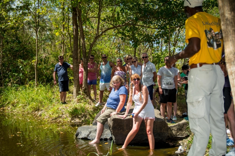 St. Lucia: Segway Nature Trail ExperienceStandaard optie