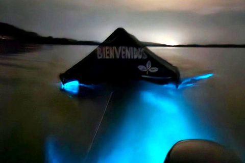 Huatulco: Turtle Release & Bioluminescence Tour