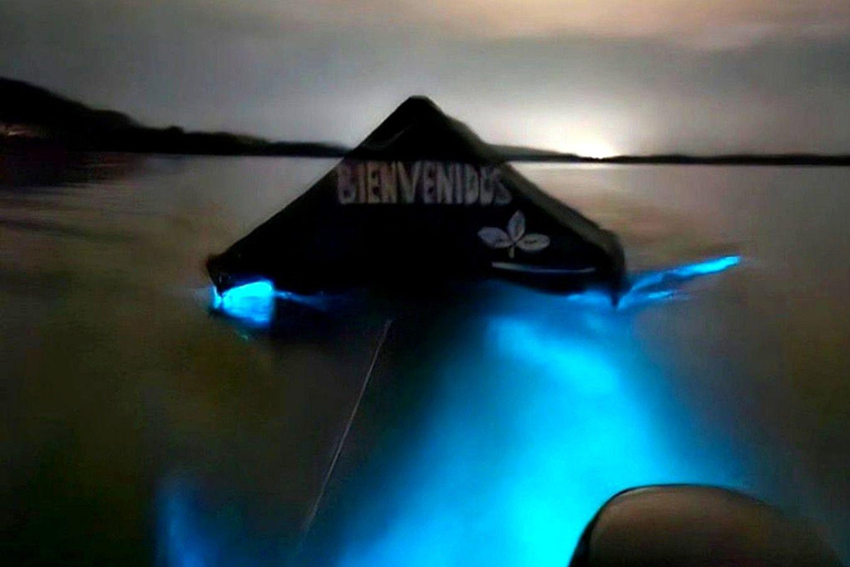 Huatulco: Turtle Release & Bioluminescence Tour