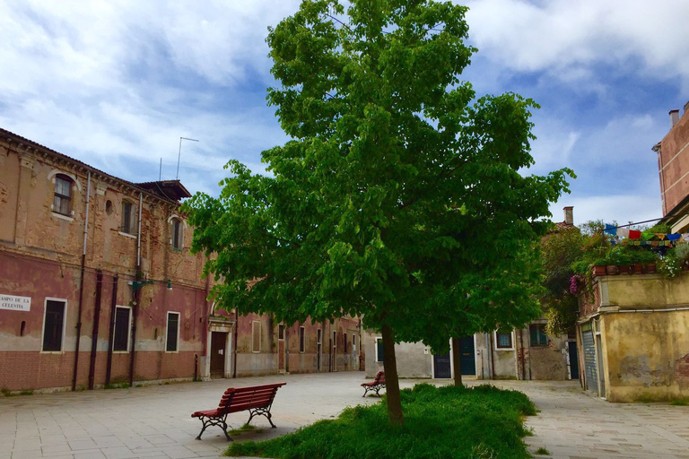 Área do Castello de Veneza: passeio a pé privado