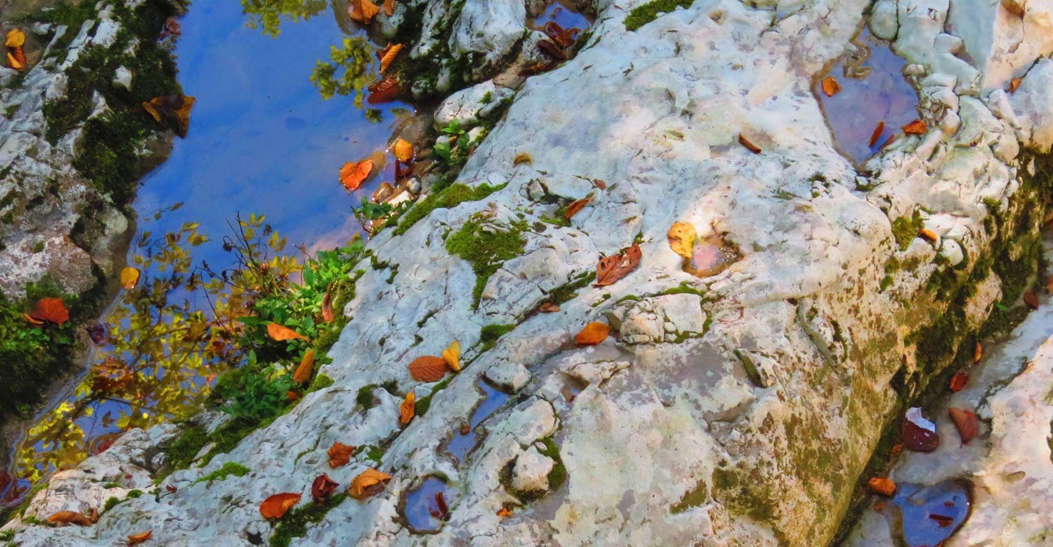Kutaisi, Martvili, Okatse Canyon e Prometheus Cave Tour - Hizvo