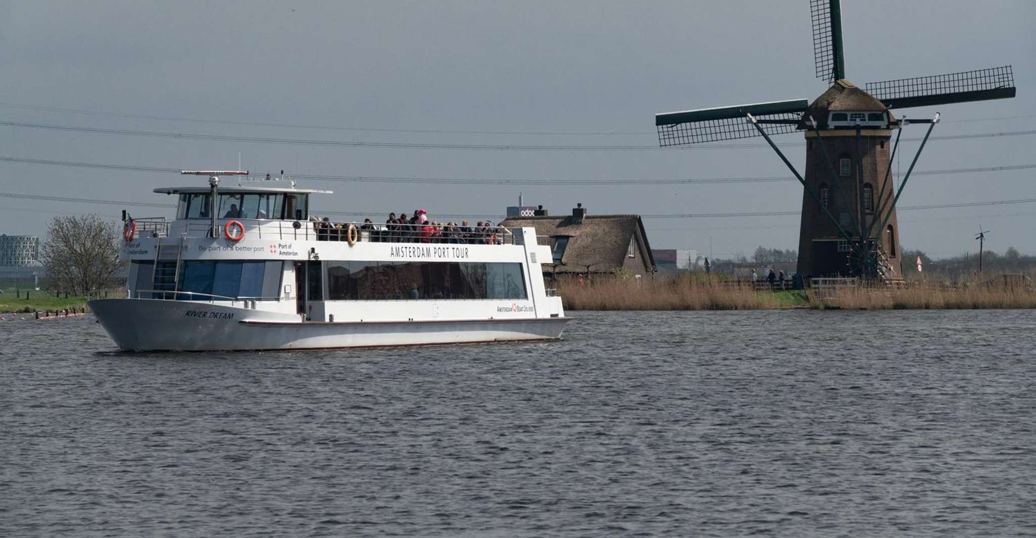 Amsterdam: Tour to Keukenhof Gardens with Windmill Cruise photo 13