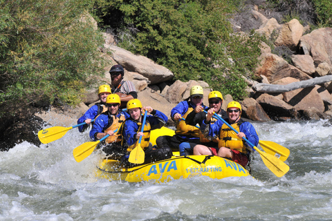 Idaho Springs: Gold Rush Whitewater Rafting Viagem de 1 dia