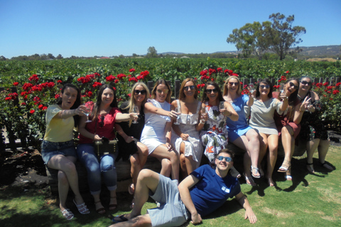 Degustação de vinhos em Swan Valley à tarde com transporteTarde Degustação de vinhos Swan Valley com transporte