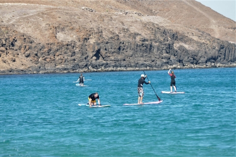 Fuerteventura: 1.5-Hour SUP Course - Caleta de Fuste